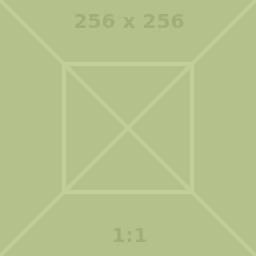 Spring Wildflowers in Denmark