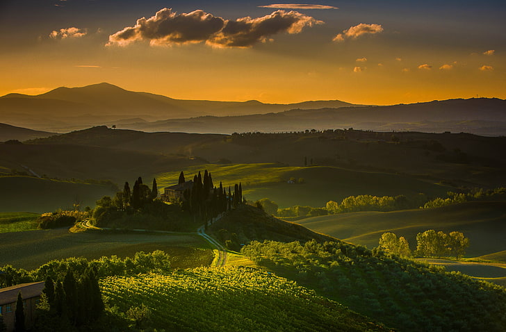 Tuscan hills with cypress trees